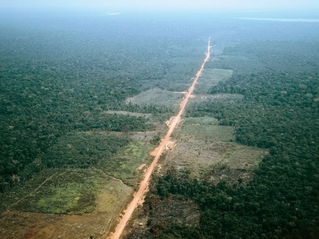 Трансамазонская магистраль